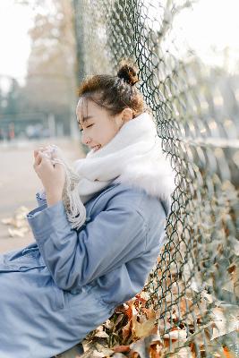 喜羊羊与灰太狼